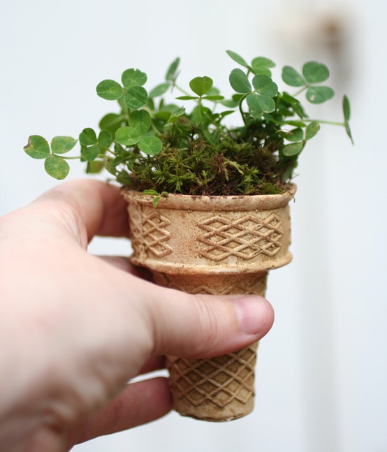 start seeds in ice cream cones and plant in to ground....I love this!!