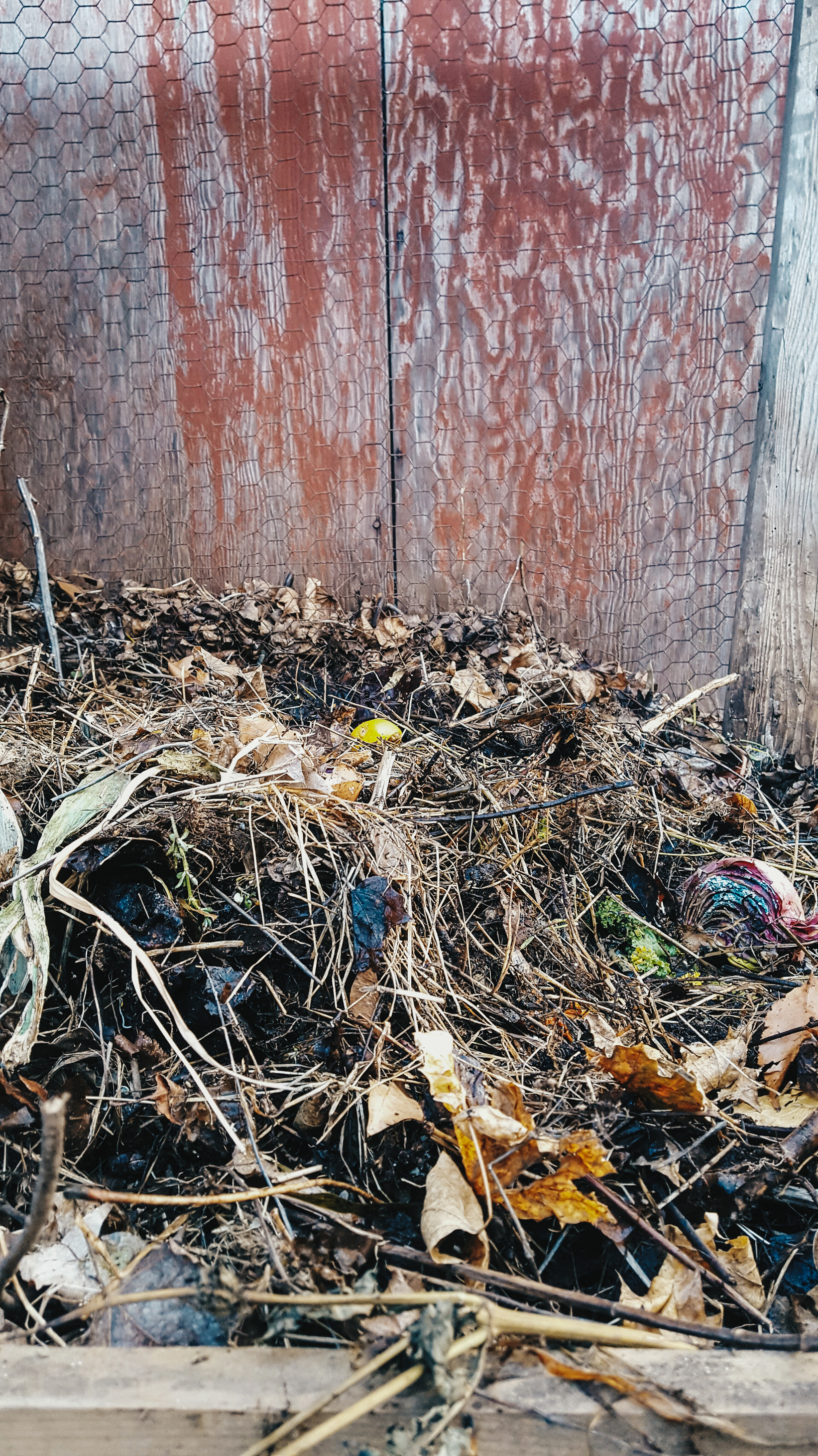 photo of compost pile in the cottage style farmhouse garden of Gloria B. Collins