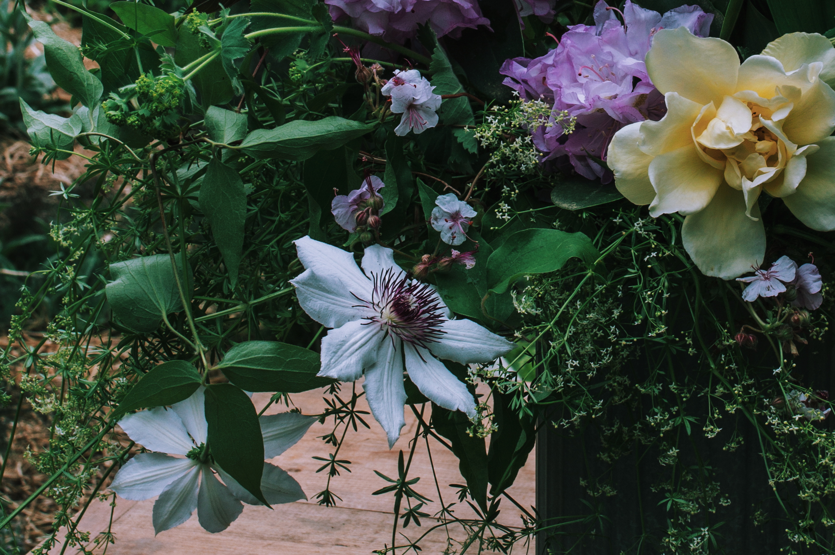 spring floral arrangement from the garden of Gloria B. Collins