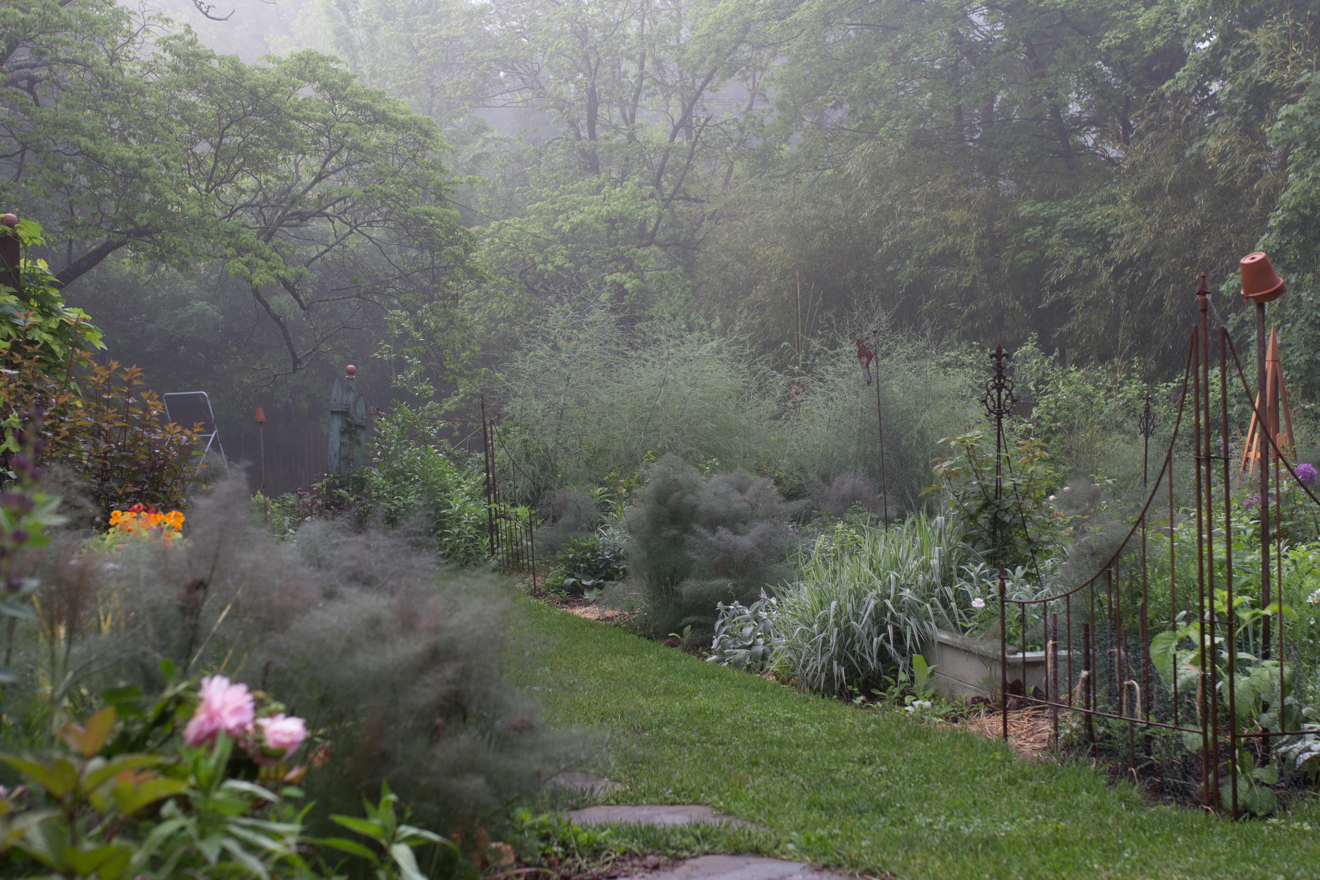 misty view of the cottage style garden of floral designer and artist Gloria B. Collins 