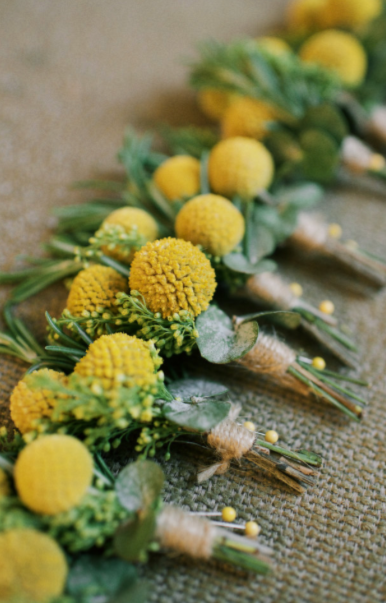 Photos by Basia of DIY wedding boutonnieres 