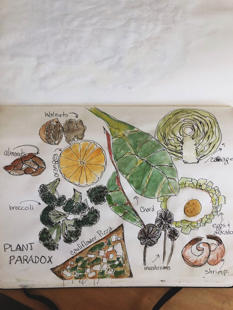 watercolor sketch of Plant Paradox food items