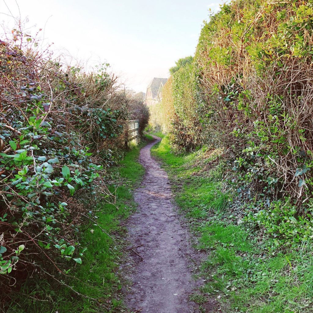 a long walk down a winding earthen path lined with tall bushes and fences