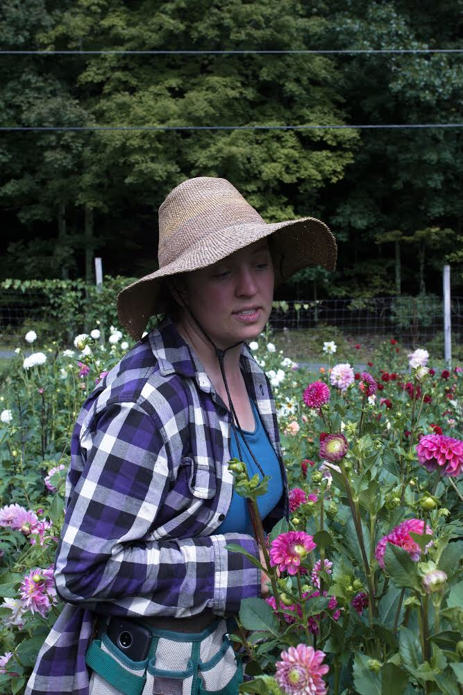 Marybeth Wehrung of Stars of the Meadow, a Hudson River Valley Flower Farmer