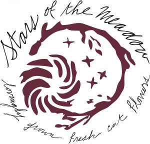 Stars of the Meadow logo