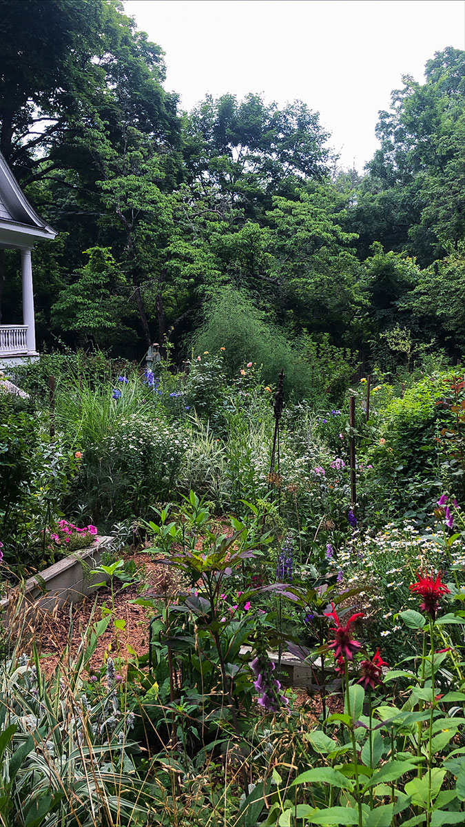 Finding Joyful Purpose in the Garden | Gloria B. Collins