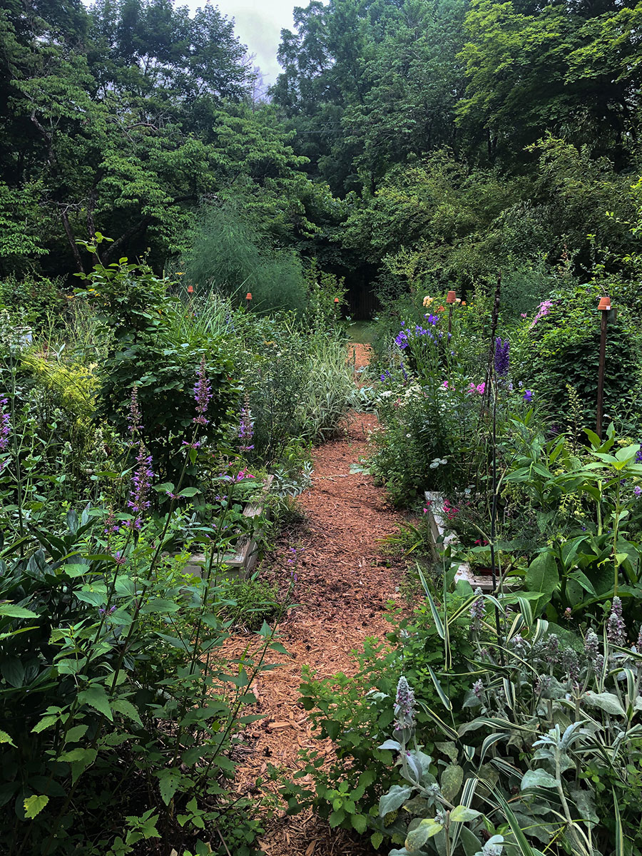 Finding Joyful Purpose in the Garden | Gloria B. Collins