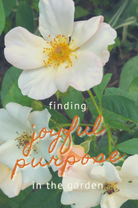 Finding Joyful Purpose in the Garden | Gloria B. Collins
