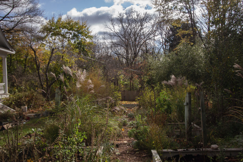 How to Bring Nature Indoors | Gloria B. Collins